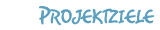 Projektziele